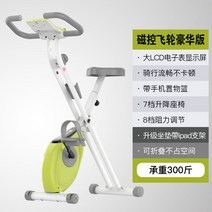 가정용 유산소 좌식 실내 운동 스피닝 기구 자전거 12, 그린 등받이없음