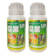 파머스케어 칼붕업 500ml 2병 칼슘 붕소 비료 식물영양제 복합비료 배추 고추 마늘 양파 칼슘부족 해결, 칼붕업500ml 2병, 칼붕업500ml 2병