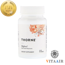 쏜리서치 실리포스 밀크시슬 파이토솜 90캡슐