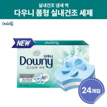 다우니 실내건조 세탁세제 프리미엄 폼형 얼룩제거 실내 세제 24개입