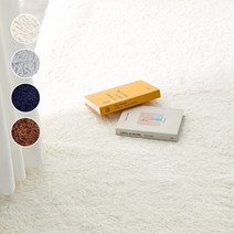 딜라이트 터치미 극세사 롱파일 워셔블 러그 카페트 매트 (4color/5size)