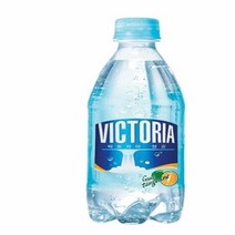 빅토리아 탄산수 500ml 청귤20펫+청포도20펫