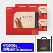 종근당건강 6년근홍삼 골드 60포 고급포장가방 선물용, 80ml