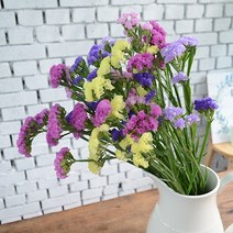 스타치스 생화꽃 생화택배 드라이플라워가능 꽃은언제나옳다, 믹스