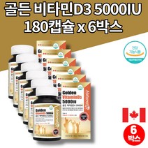 소아 어린이 초등 키즈 5세 중학생 고등학생 고3 청소년 코스트코 트레이더스 골든 비타민D 5000IU 섭취량 콜레칼시페롤 연질 캡슐, 6박스