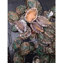 산지직송 완도산 활전복 구이용 17-20미 1kg 산소싱싱팩 당일발송