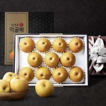 딜리버리맛트 [딜맛] 청실농원 프리미엄 명품 배 선물세트 7.5kg(7~8과), 1