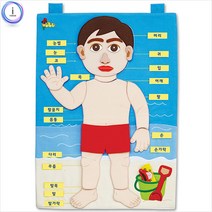 본s마켓_차트벽보 벽걸이교구 어린이 나의몸학습 나의 교육 그림판_본s마켓, 무옵션_품목_