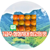 창녕 화왕산 중턱에서 재배한 고당도 부유 단감 중. 소품 3kg (18과 내외)