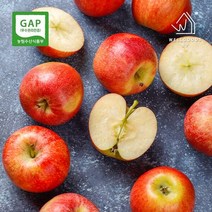 [웰굿] [정품]GAP인증 고당도 엔비사과 5kg(16-23과 가정용흠과)