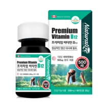 프리미엄 비타민B12 고함량 수용성 비타민비 12 3개월분, 프리미엄 비타민B12 고함량 256mg 60정