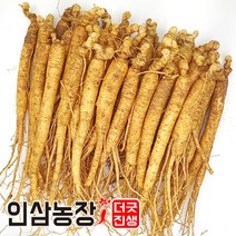 더굿진생 인삼 수삼 금산인삼 원수삼 난발삼 파삼 삼계 350g, 1개, (세척안함)알뜰형 350g(24~33뿌리)