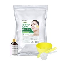 린제이 프리미엄 모델링팩 1kg+ DIY 앰플 + 피부샵용 고급 팩도구 3종세트 지퍼백 고무팩 티트리 비타민 콜라겐 차콜 카렌듈라 골드 스피룰리나, 스피룰리나 1kg, 비타민추출물 100% 20ml