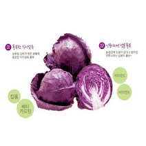 제주 빨간 양배추 브로콜리 저온착즙 오가닉가든 90ml 30포, 1개