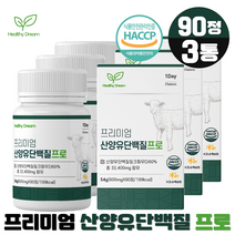 로이신 알약 BCAA 타블렛 산양유 단백질 프리미엄 단백분말 보충제 WPI 분리유청 류신 90정