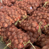 [패밀리농산물] 국내산 햇양파 최상품 3kg 5kg 10kg 20kg, 햇양파 최상품 20kg