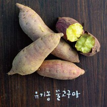 [논밭상점] 박종권 유기농 꿀고구마 중간크기, 단품