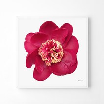 풍수아트 10.M 레드 | 캔버스액자 중대형20호 [60.6x60.6cm]