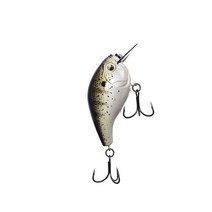 13 FISHING 스캠프 스퀘어 빌 - 치킨 오브 더 씨 2.5인치 21그램 658085, Louisiana Frog Cakes