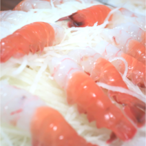집에서즐기는 신선한 새우회 새우찜 자숙문어 해산물 7종, 제주도 딱새우회 20미