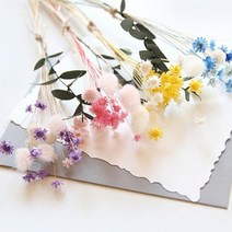 THEVOM 스타플라워&허니테일미니다발, 옐로