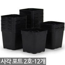 24구 사각포트 연결구 - 모종판 포트 모종 트레이 재배 씨앗 연결포트 다육포트 묘목 모판 화분 다육이, 05_세인_사각포트(2호) x 12개