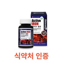 네추럴라이즈 액티브 철분 100캡슐 철분 영양제 철분 보충제 헤모그로빈 비헴철 임산부 철분 청소년 가임기 여성 철분제 캐나다 대용량 영양제 온가족 에너지생성 필수영양소 철분제, 1통, 100캡슐X9개