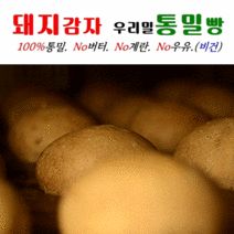 [유스마일] 우리밀 돼지감자통밀빵 100%통밀빵 새싹보리 여주 비건빵 당뇨빵 다이어트빵, 03cp.돼지감자통밀빵60g