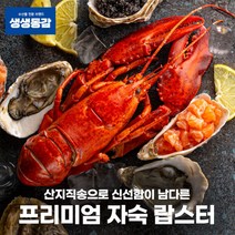 고씨네 자숙랍스타 550g 랍스터 자숙랍스터 킹크랩, 상세페이지 참조, 상세페이지 참조