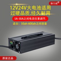 인산철 리튬 배터리 충전기 12V 24V 30A 50A 고출력, 24V8 리튬철 29.2V50A