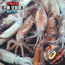 원양 선동 오징어 냉동 통 오징어 통찜 숙회 통오징어찜, 6kg, 1개
