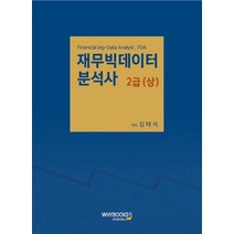 재무빅데이터분석사 2급(상), 와이북스