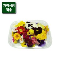 가락시장직송 식용꽃 1팩(약30-35송이), 단품
