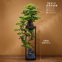 대형 단풍나무 분재 해송 화분 호텔로비 야외 인조 청송분 장식, M.미인 송분경 모사 왼쪽