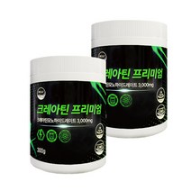 웰리즈 크레아틴 프리미엄 300g 모노하이드레이트 헬스보충제, 2개