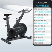 홈 트레이닝 자전거 사이클 머신 좌식 바이크 실내 자전거타기 효과 헬스 클럽용, Q200 베이직