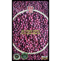 팥씨앗30g 짙은 자색깔로 선명하고 크기가 균일한 재래종 팥 KS종묘