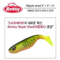 버클리 파워베이트 리플쉐드 쉐드웜 4인치웜 PBBRS4-, SMLT