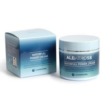 참존 알바트로스 워터풀 파워 크림 100ml, 1