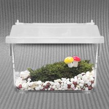 테라리움만들기 재료 테라리움 이끼 비바리움 diy 식물