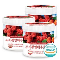 푸른들판 국산 꾸지뽕 열매 추출 추출물 분말 가루 haccp 인증 160gx3통, 160g, 3통