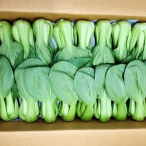 야채24닷컴 청경채 500g, 1개