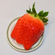킹스베리 논산딸기 산지직송 대왕 딸기 2kg 딸기선물 과일선물세트 제철 생딸기, 특(21~35g) 2kg