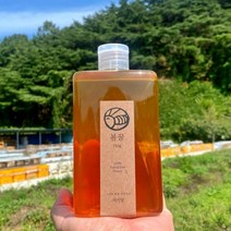 명품 숙성꿀 봄꿀&여름꿀 한달동안 벌집에서 숙성시킨 프리미엄 천연 숙성꿀, 봄꿀, 450g