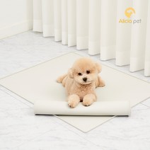 카라즈펫 논슬립 실리콘 안심 배변매트 배변판 방수 화장실, 1개, 실리콘안심배변매트(중형)_1+1