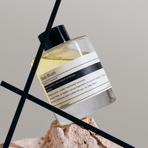도손 베이 블랑쉬 라임바질딥블러쉬 실내 방향제 호텔디퓨저 120ml, 집시워터, 1개