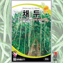 채두 씨앗 30립 / 넝굴성 꼬투리채 먹는 콩 아삭한맛 줄기콩 줄콩 채소 종자