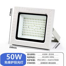 LED 방폭등 방수 창고 작업장 부식방지 투광등, LED (방폭 투광등 50W)