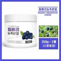 오스트리아산 빌베리 농축 분말 농축액 야생 블루베리 원물 가루 파우더 고함량 안토시아닌 폴리페놀 플라보노이드 눈 건강 빌베리 차 tea 쉐이크 온가족 추천 bilberry, #영에버그린#빌베리농축분말 250g(스푼증정), 2통