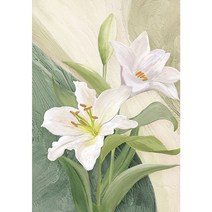 백합 릴리 보석십자수 순수한 사랑 그리움의 꽃 식물 북유럽 감성 큐빅가득 그림 북유럽 감성 센스있는 새집선물 집콕취미 집중력향상 액자없음 DIY키트 12종, 릴리01번, 70*90CM